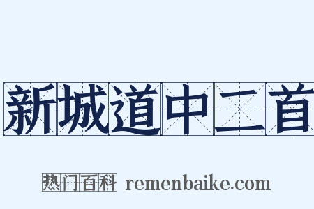 新城道中二首是什么意思的图片